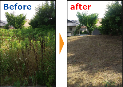 広い空地の草刈り