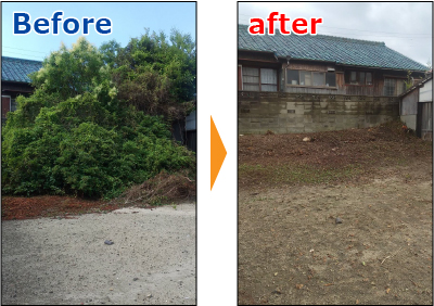 森のようになってしまった庭木の伐採