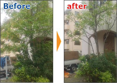 伸びてしまった庭木の剪定