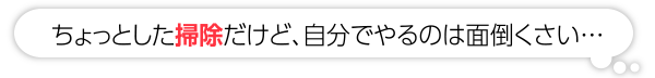 ちょっとした掃除だけど自分でするのは面倒くさい…